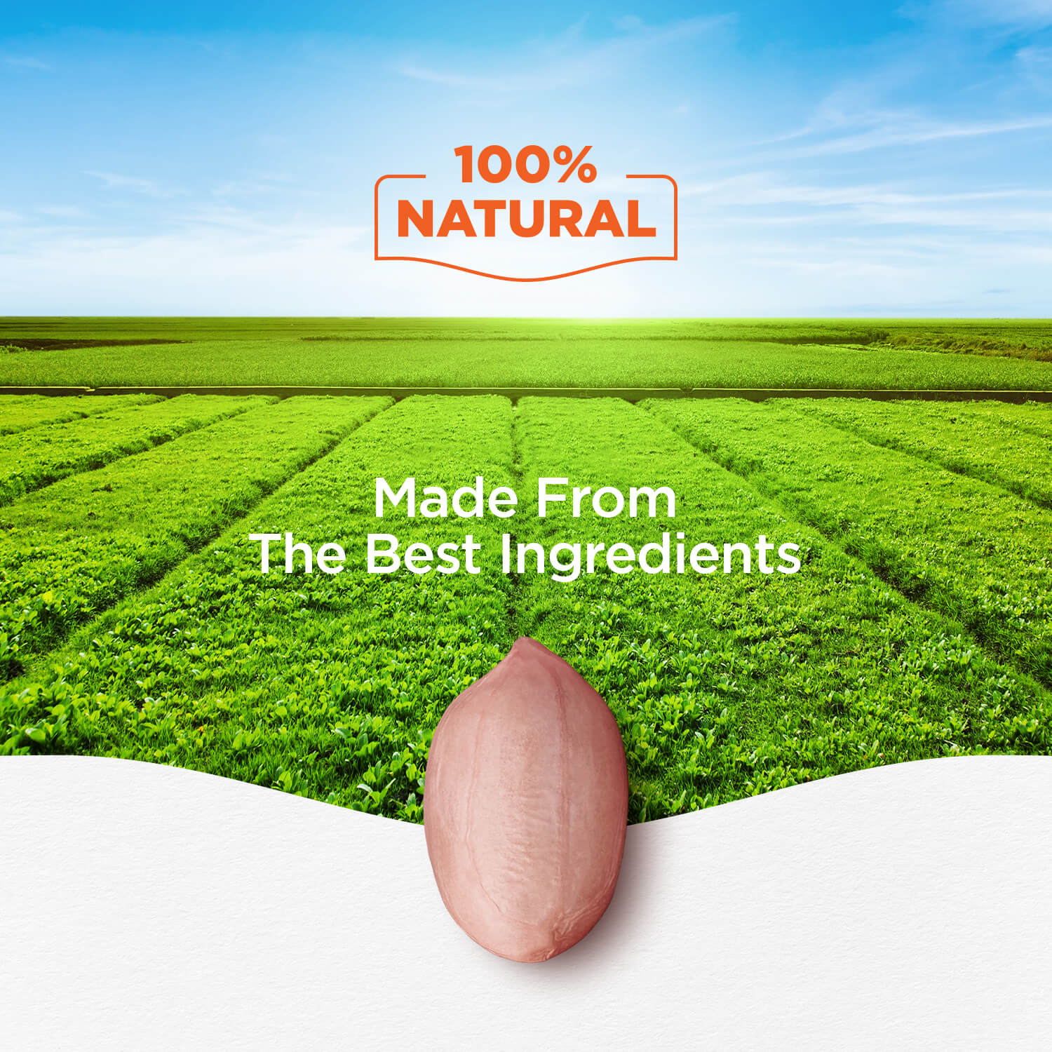 Filtered Groundnut Oil 15KG Tin