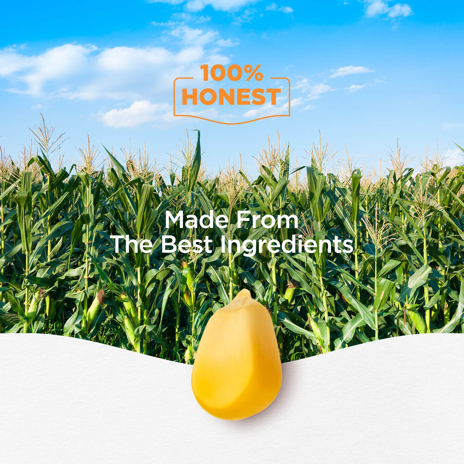 Refined Corn Oil 13 KG Tin - Ankur Oil Industries