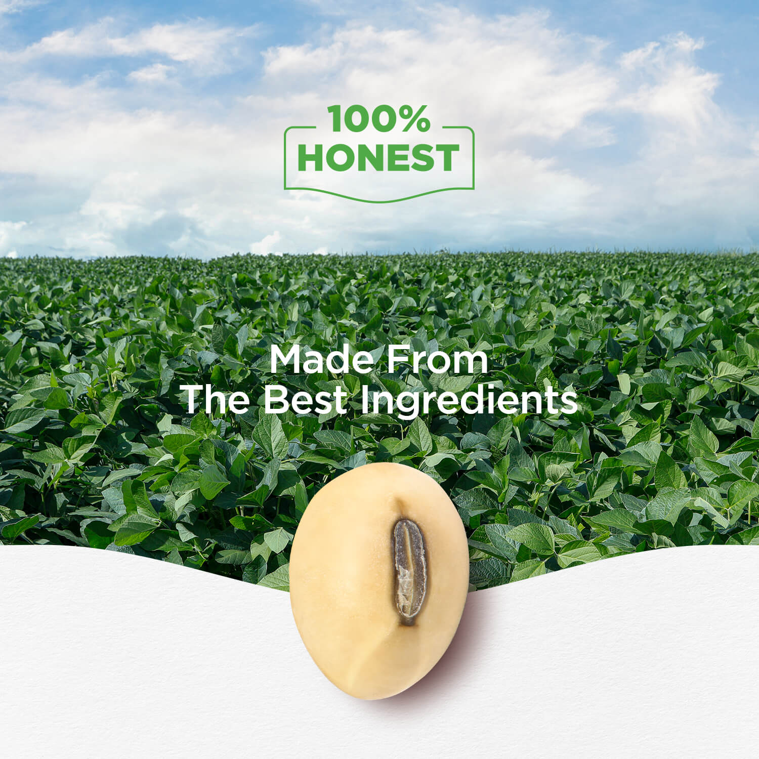 Refined Soyabean Oil 13 KG Tin