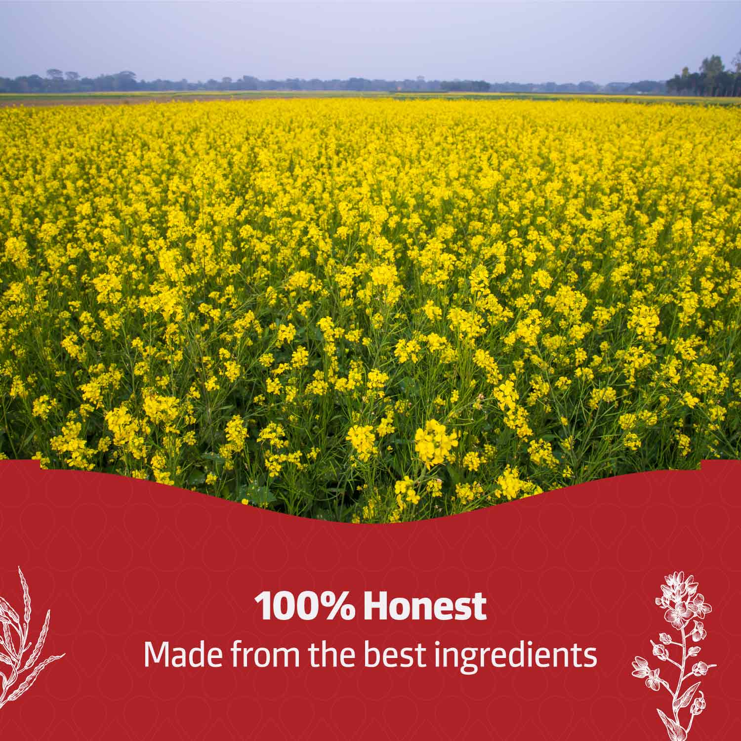 Mild Mustard Oil 870 GM Bottle