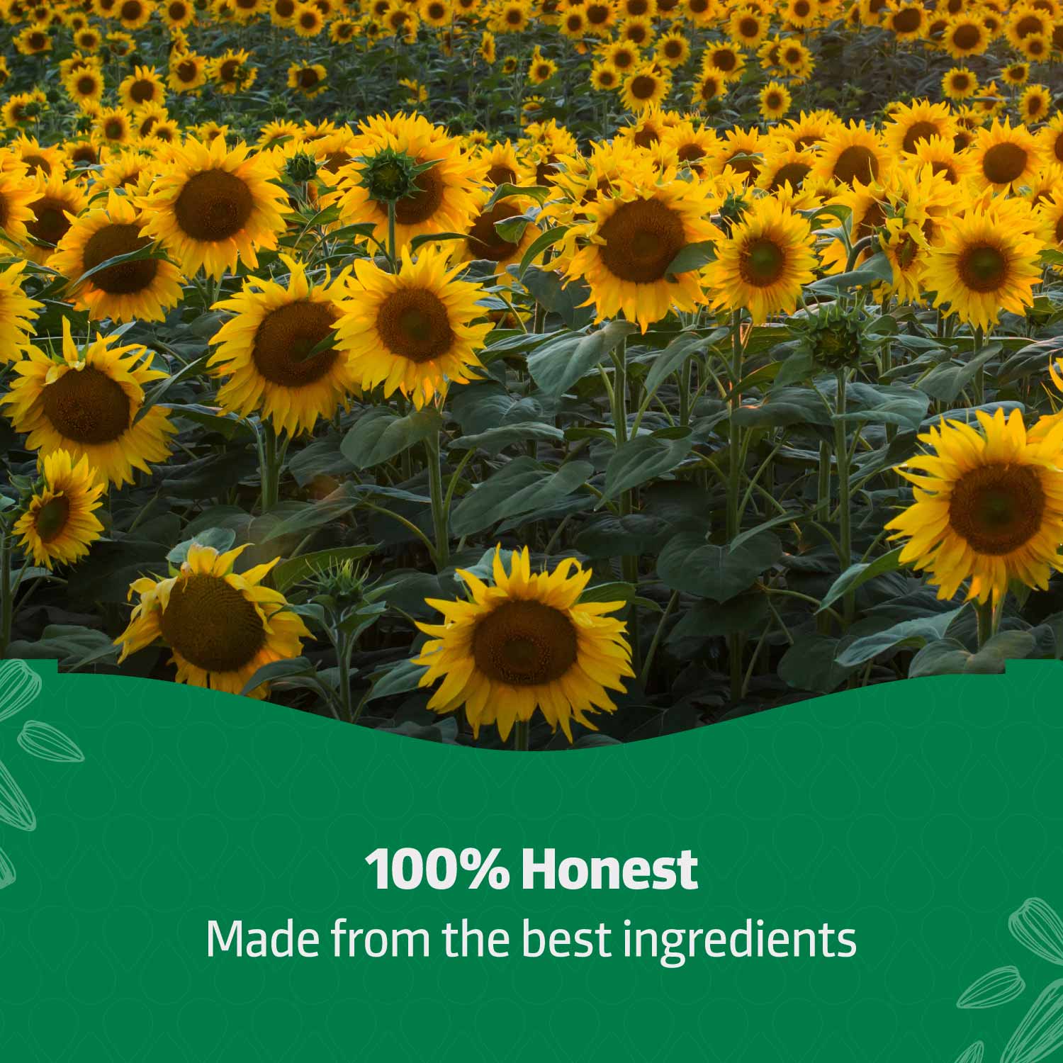 Refined Sunflower Oil 4.350Kg Jar - Ankur Oil Industries